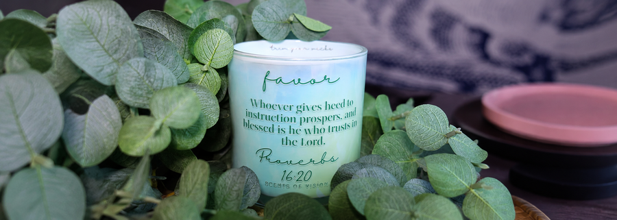 Favor Proverbs 16:20