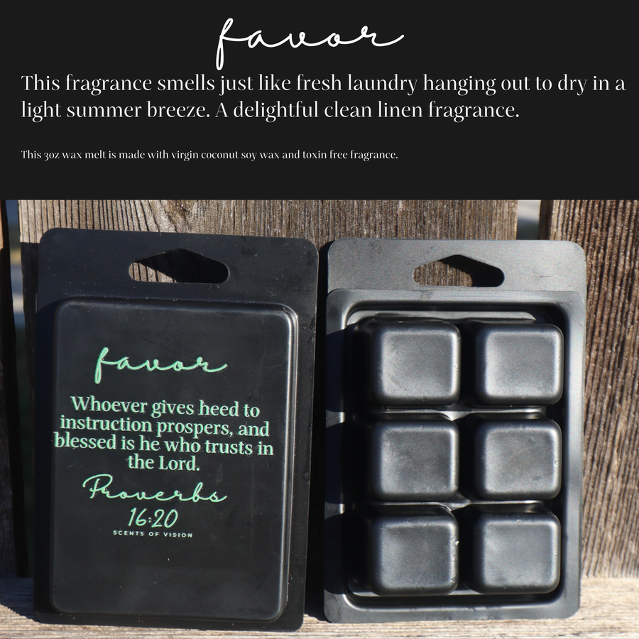 Favor 3oz Luxury Wax Melt Clean Laundry